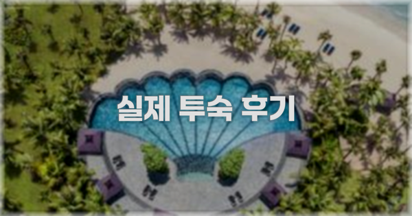 💬 실제 투숙 후기