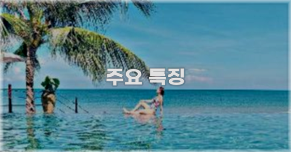 ✨ 주요 특징