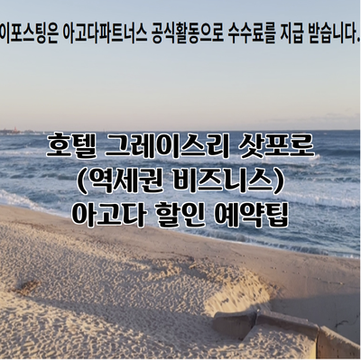 호텔 그레이스리 삿포로 (역세권 비즈니스) 아고다 할인 예약팁