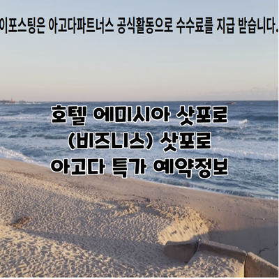 호텔 에미시아 삿포로 (비즈니스) 삿포로 아고다 특가 예약정보