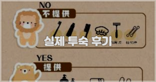 💬 실제 투숙 후기